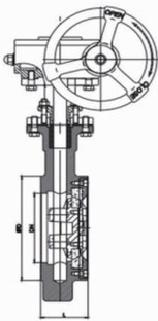Ceramic Butterfly ValveSide Section Drawing